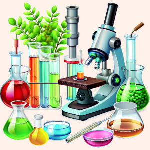 Transcend PU College